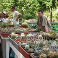Выставка май 2007