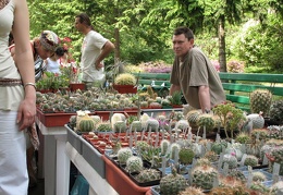 Выставка май 2007