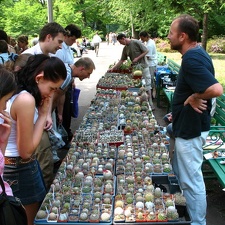 Выставка май 2007