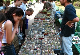 Выставка май 2007