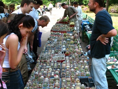 Выставка май 2007