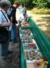 Выставка май 2007