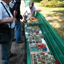 Выставка май 2007