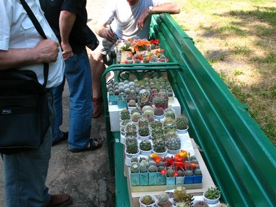 Выставка май 2007