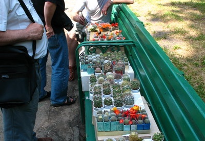 Выставка май 2007