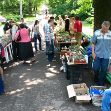 Выставка май 2007