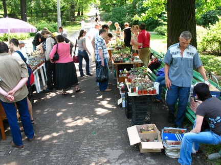 Выставка май 2007