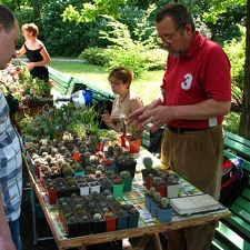 Выставка май 2007
