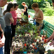Выставка май 2007