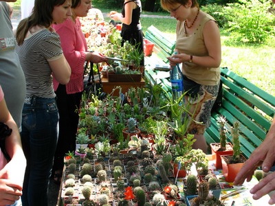 Выставка май 2007