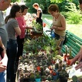 IMG_2149.jpg