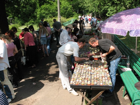 Выставка май 2007