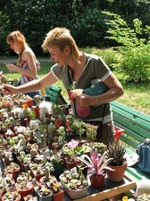 Выставка май 2007