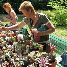 Выставка май 2007