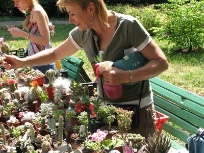 Выставка май 2007