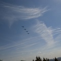 Городская выставка цветов, август 2008