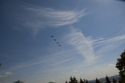 Городская выставка цветов, август 2008