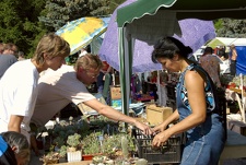 Городская выставка цветов, август 2008