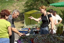 Городская выставка цветов, август 2008