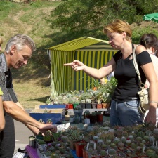 Городская выставка цветов, август 2008