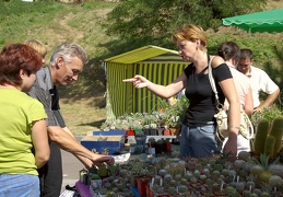 Городская выставка цветов, август 2008