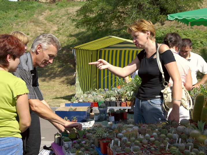Городская выставка цветов, август 2008