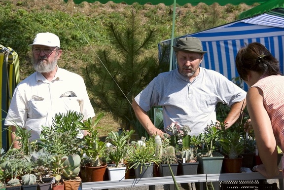 Городская выставка цветов, август 2008