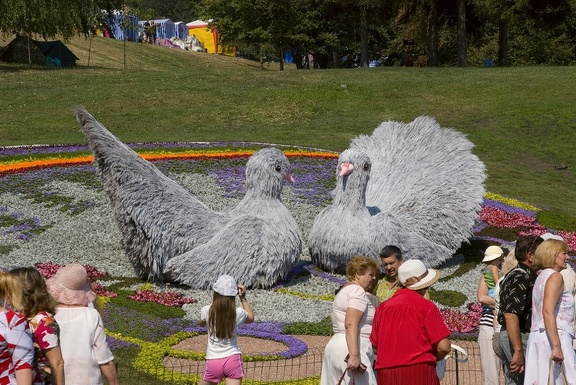 Городская выставка цветов, август 2008