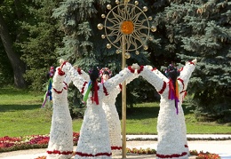 Городская выставка цветов, август 2008
