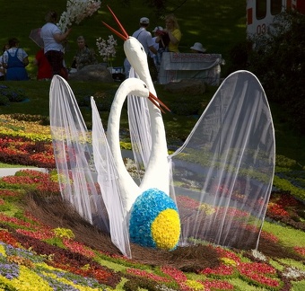 Городская выставка цветов, август 2008