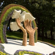 Городская выставка цветов, август 2008