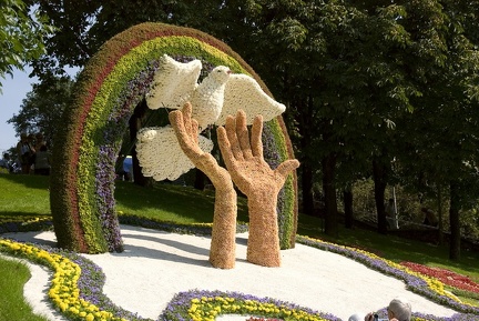 Городская выставка цветов, август 2008