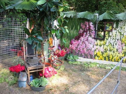 Городская выставка цветов, август 2008