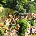 Городская выставка цветов, август 2008