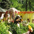 Городская выставка цветов, август 2008