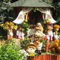 Городская выставка цветов, август 2008