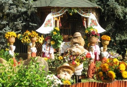 Городская выставка цветов, август 2008