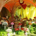 Городская выставка цветов, август 2008