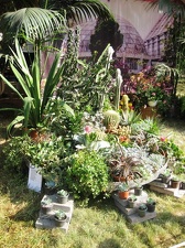 Городская выставка цветов, август 2008