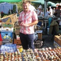 Городская выставка цветов, август 2008