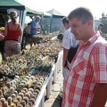 Городская выставка цветов, август 2008