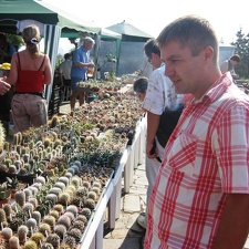 Городская выставка цветов, август 2008
