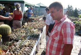 Городская выставка цветов, август 2008