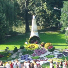 Городская выставка цветов, август 2008