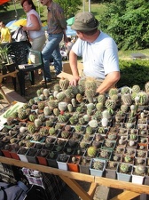 Городская выставка цветов, август 2008