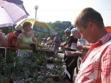 Городская выставка цветов, август 2008