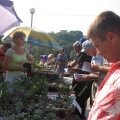 Городская выставка цветов, август 2008