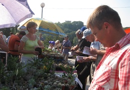 Городская выставка цветов, август 2008