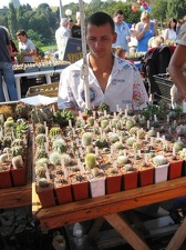 Городская выставка цветов, август 2008