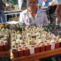 Городская выставка цветов, август 2008